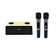 TV Karaoke Speakers